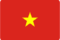 Vietnan Flag